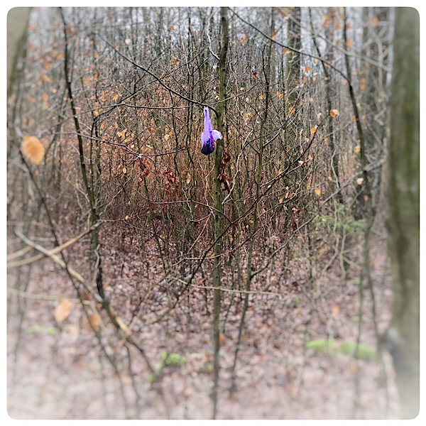 Hunde-Poo in Bio-Plastik - Generation-Plastik.de